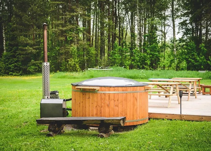 Veldemani Suvemajakesed *